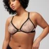 Linework Embroidered Unlined Plunge Bra -Shapewear Favour 570350828 3706 large